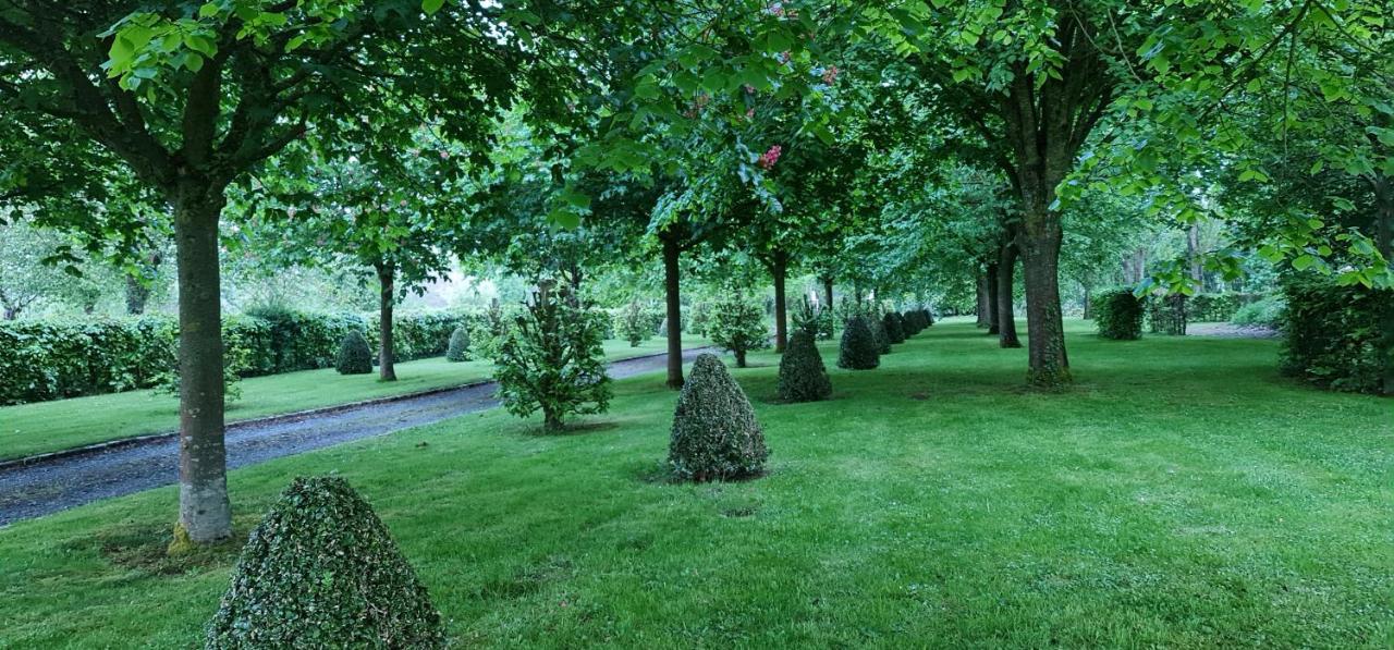 Отель Le Manoir Des Marronniers Sully  Экстерьер фото